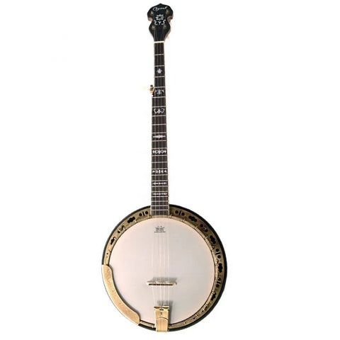 Ozark 2115G 5 String Banjo and Gigbag