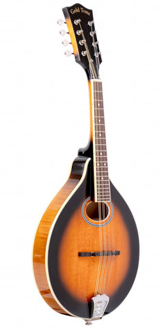 Gold Tone GM-50+ Mandolin