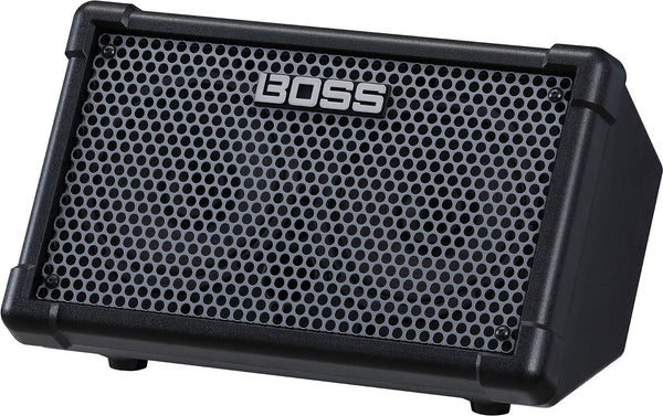 Roland CUBE Street II battery powered stereo amp