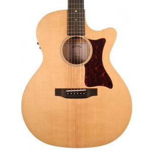 Electro Acoustic Guitars