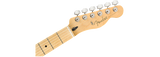Fender Player Tele Butterscotch / Maple Neck