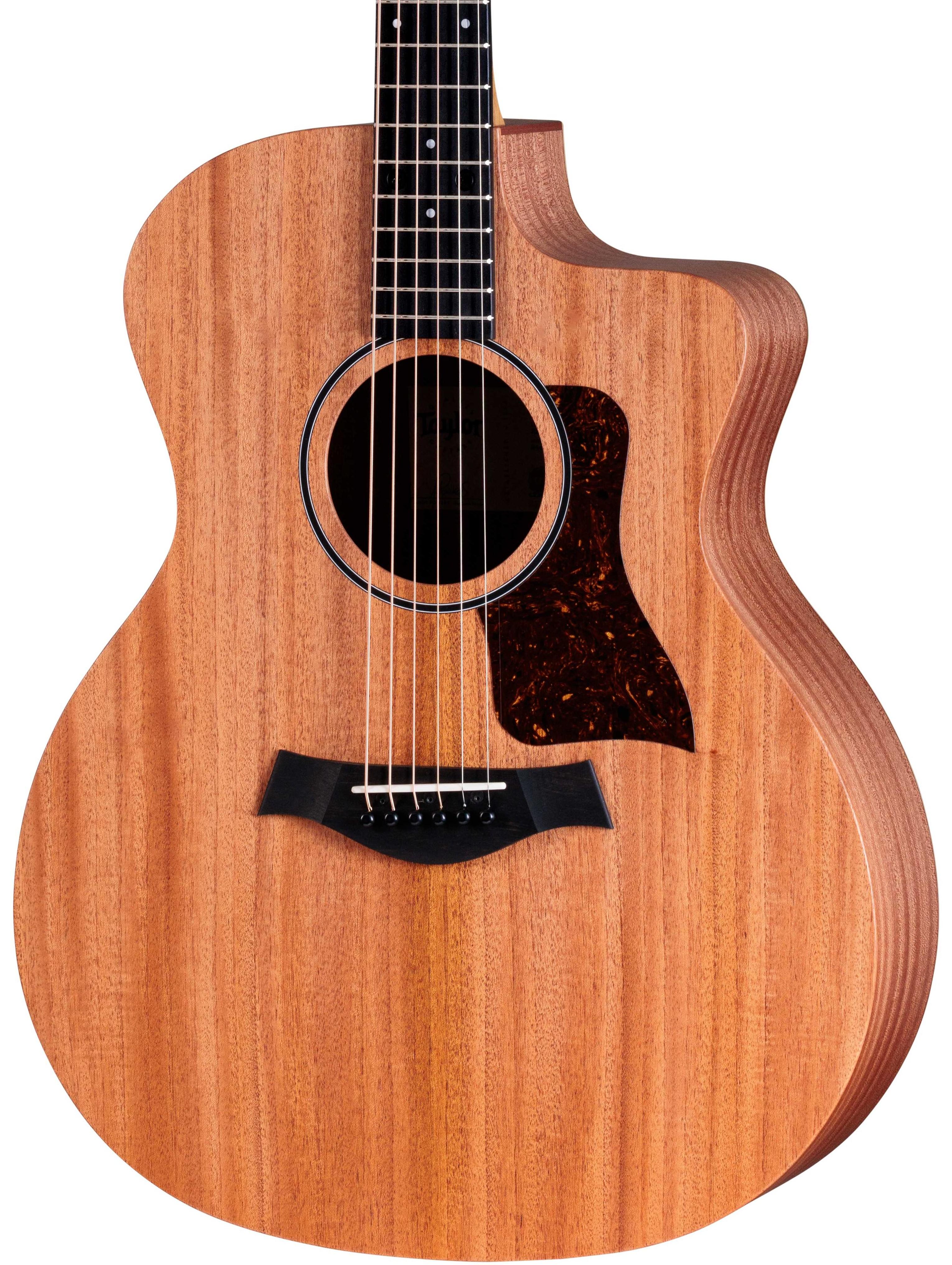 Taylor 24ce