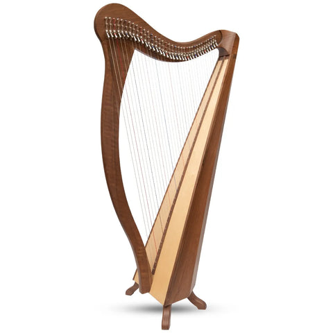 36 String Ard Ri Harp Walnut & Bag