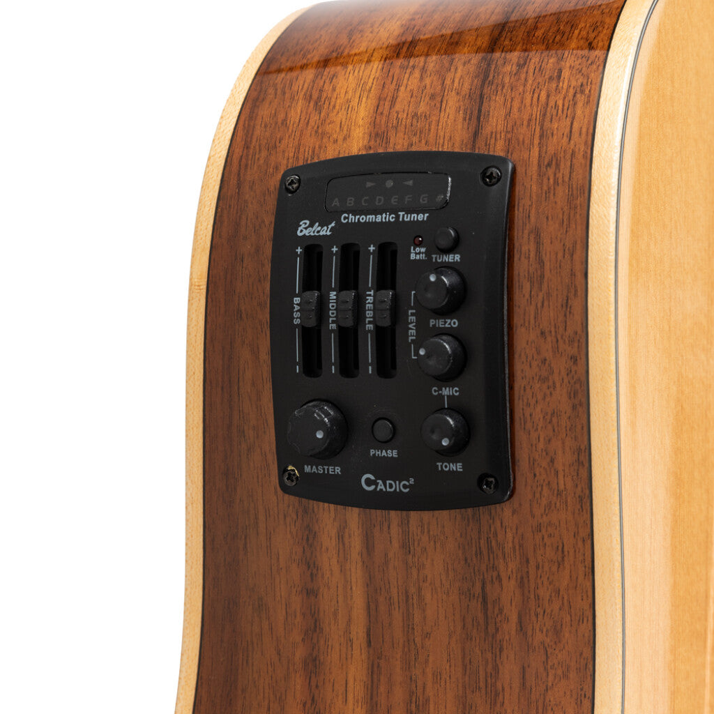Stagg SA45 DCE-AC