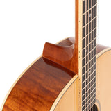 Stagg SA45 O FM