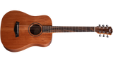 Taylor BT2 Baby Mahogany
