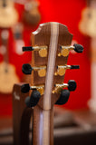 Avalon - D330E - Alaskan Spruce/Indian Rosewood