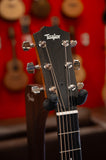 Taylor 414ce Studio Natural