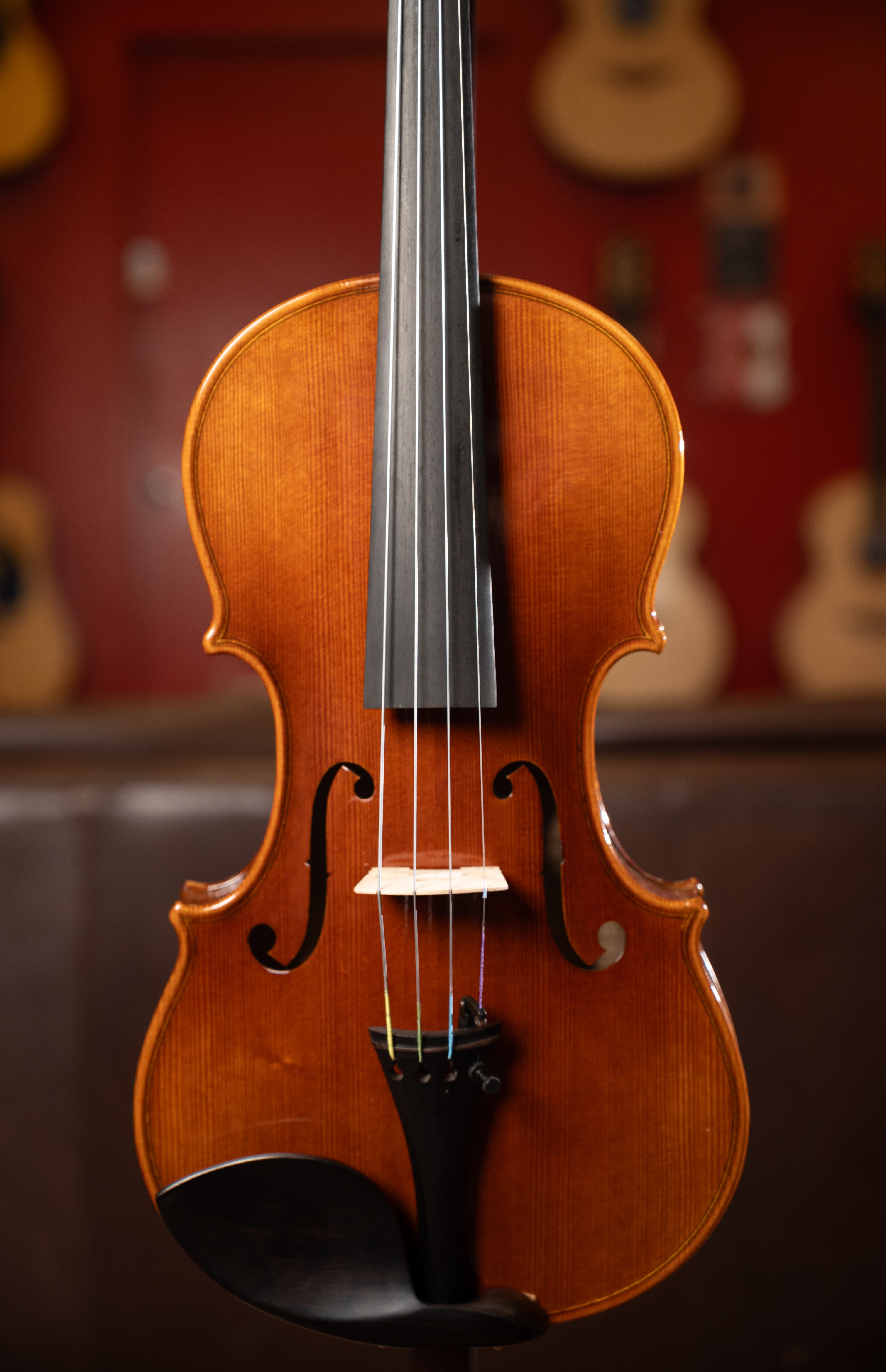 Pianura DV25-10 4/4 302 Workshop Violin