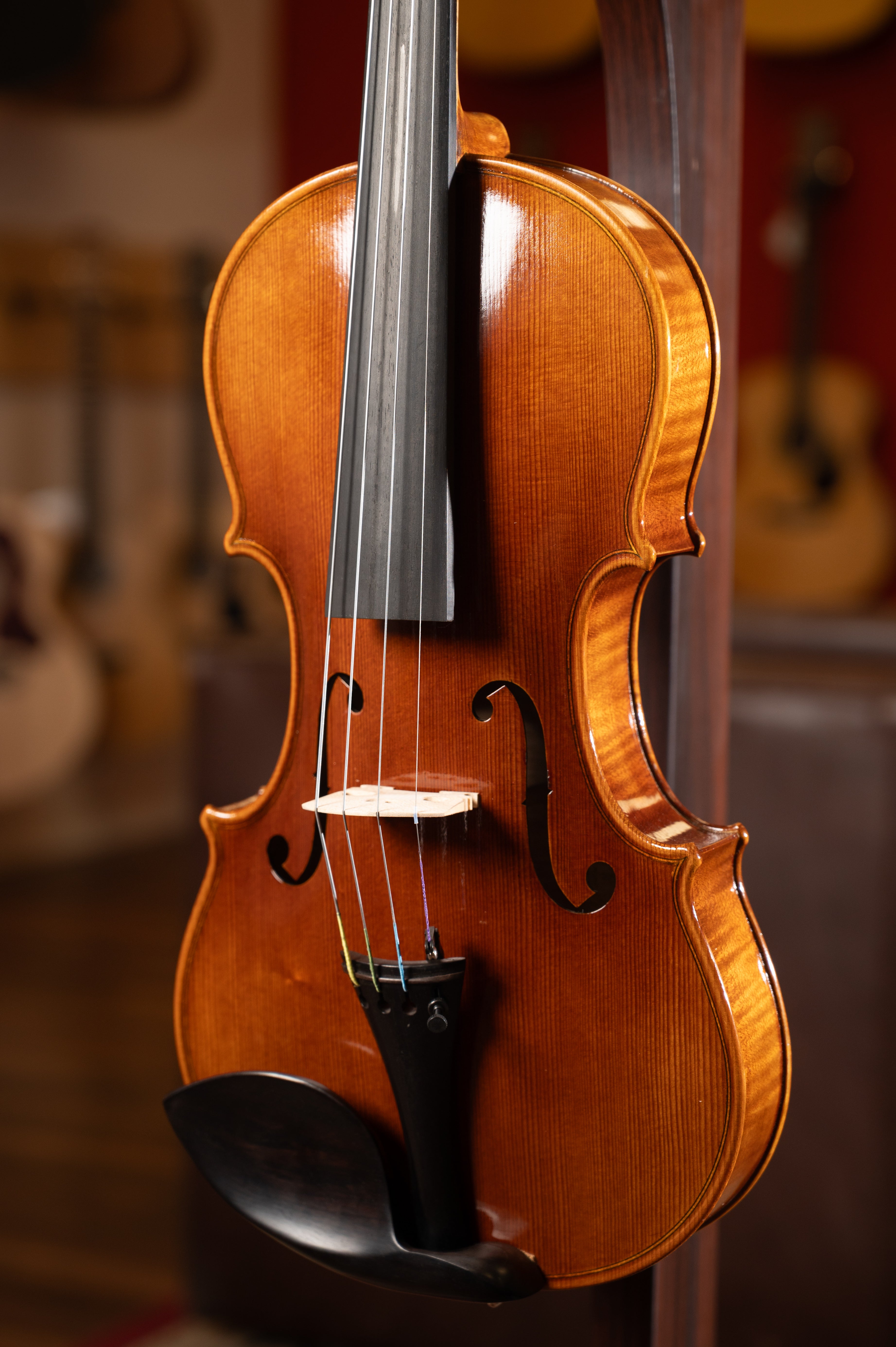 Pianura DV25-10 4/4 302 Workshop Violin