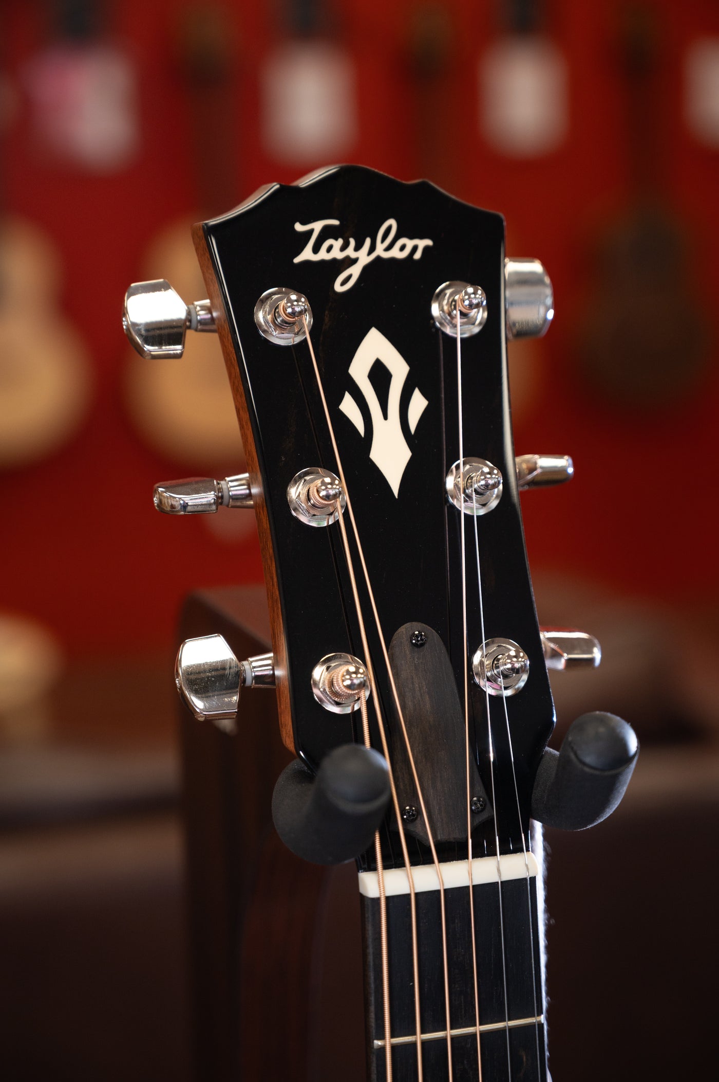 Taylor Gold Label 517e