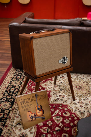 Taylor Circa 74 Acoustic Amp