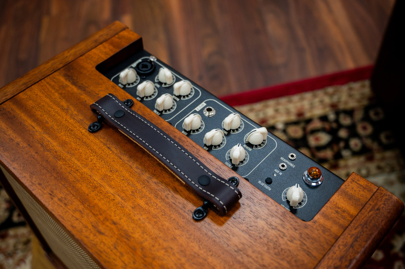 Taylor Circa 74 Acoustic Amp