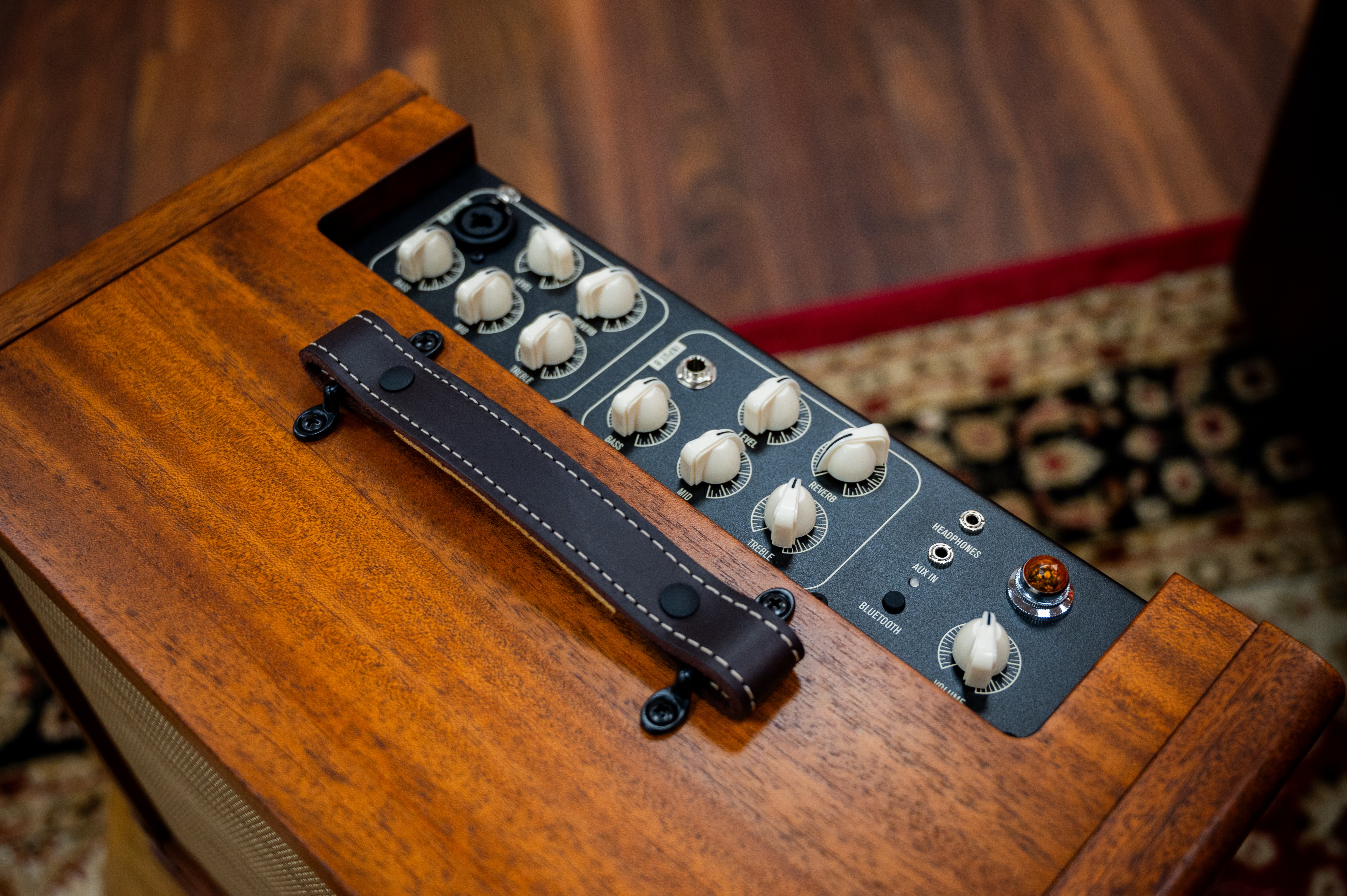 Taylor Circa 74 Acoustic Amp
