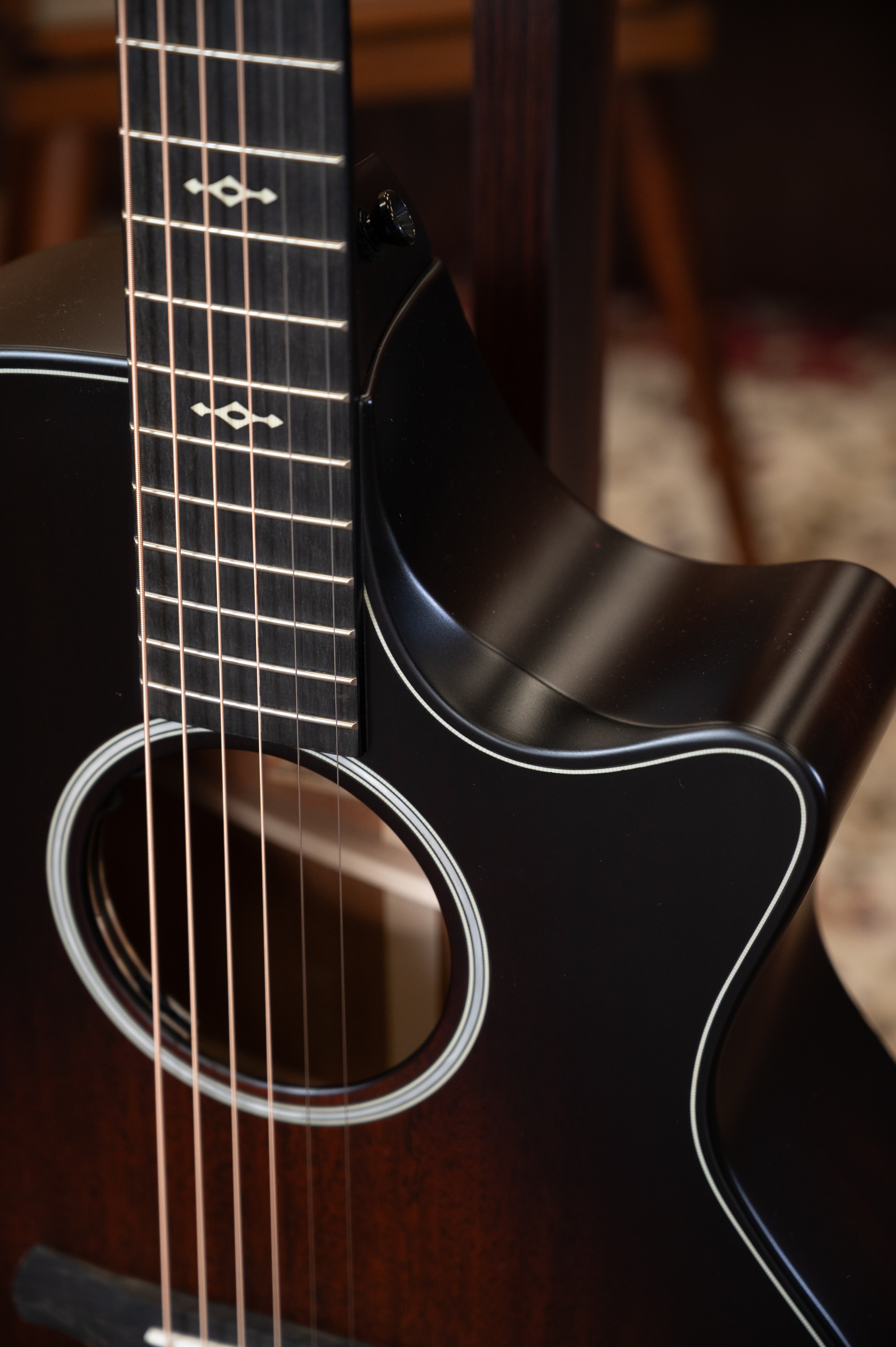 Taylor Builder's Edition 324ce, Next Generation