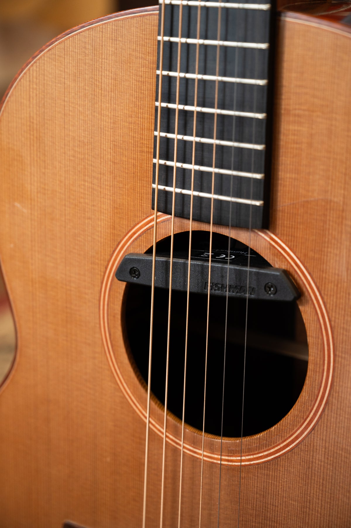 PRE-OWNED - Lowden F-25 with Fishman
