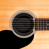 D'Addario Screeching Halt