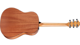 Taylor 117e