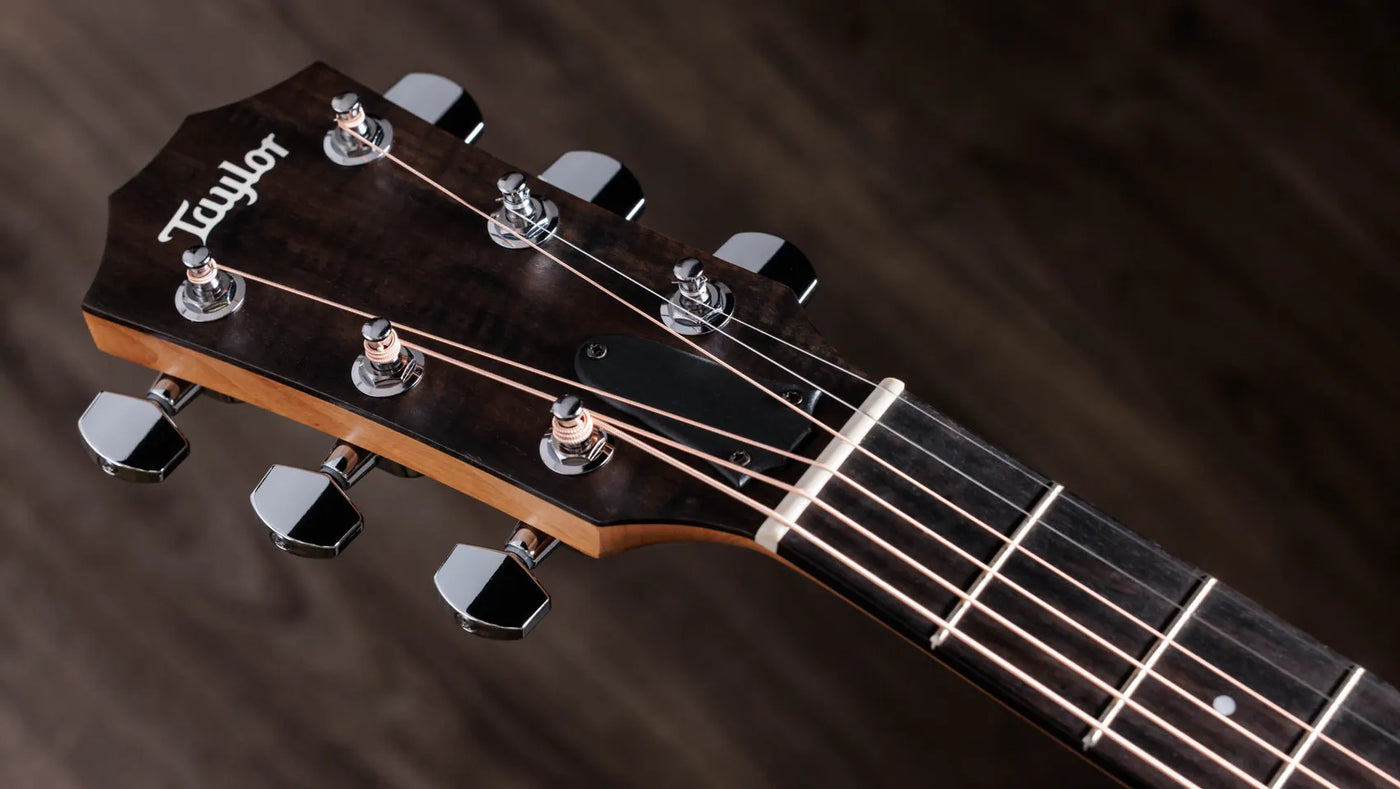 Taylor 117e