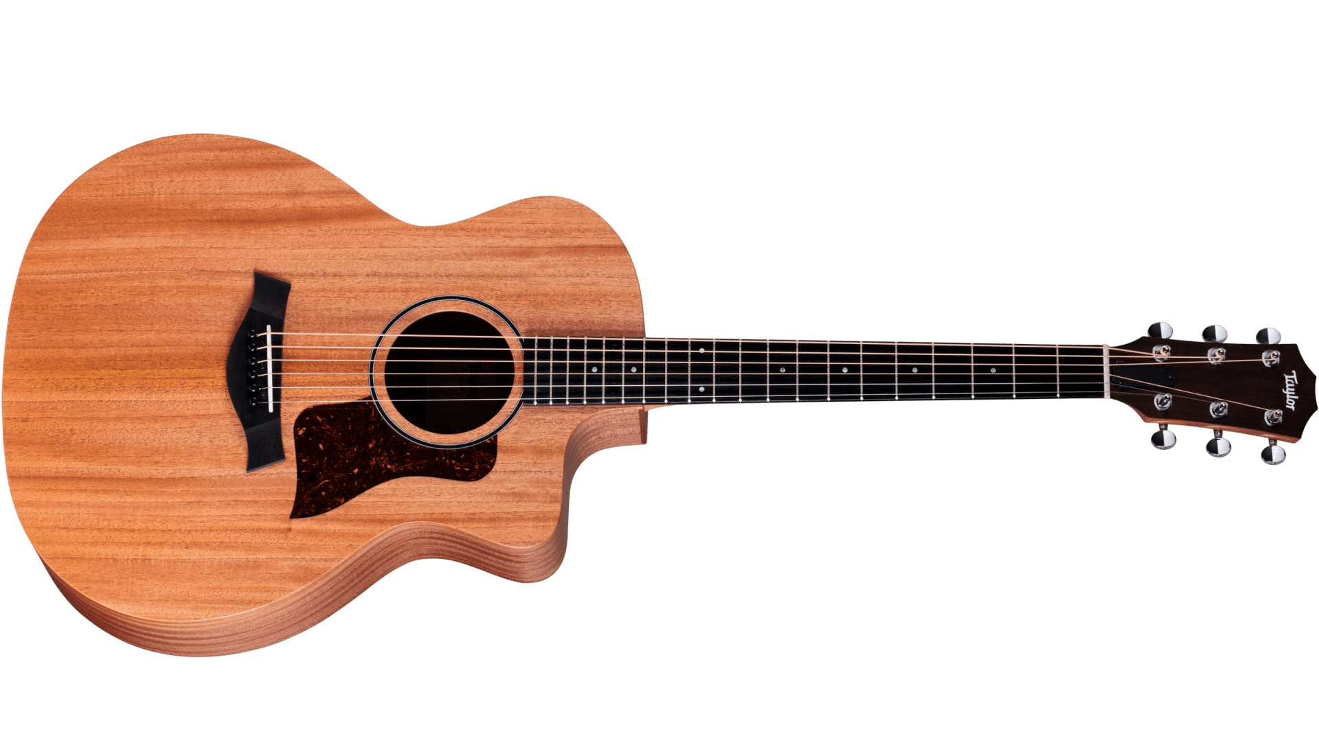 Taylor 24ce