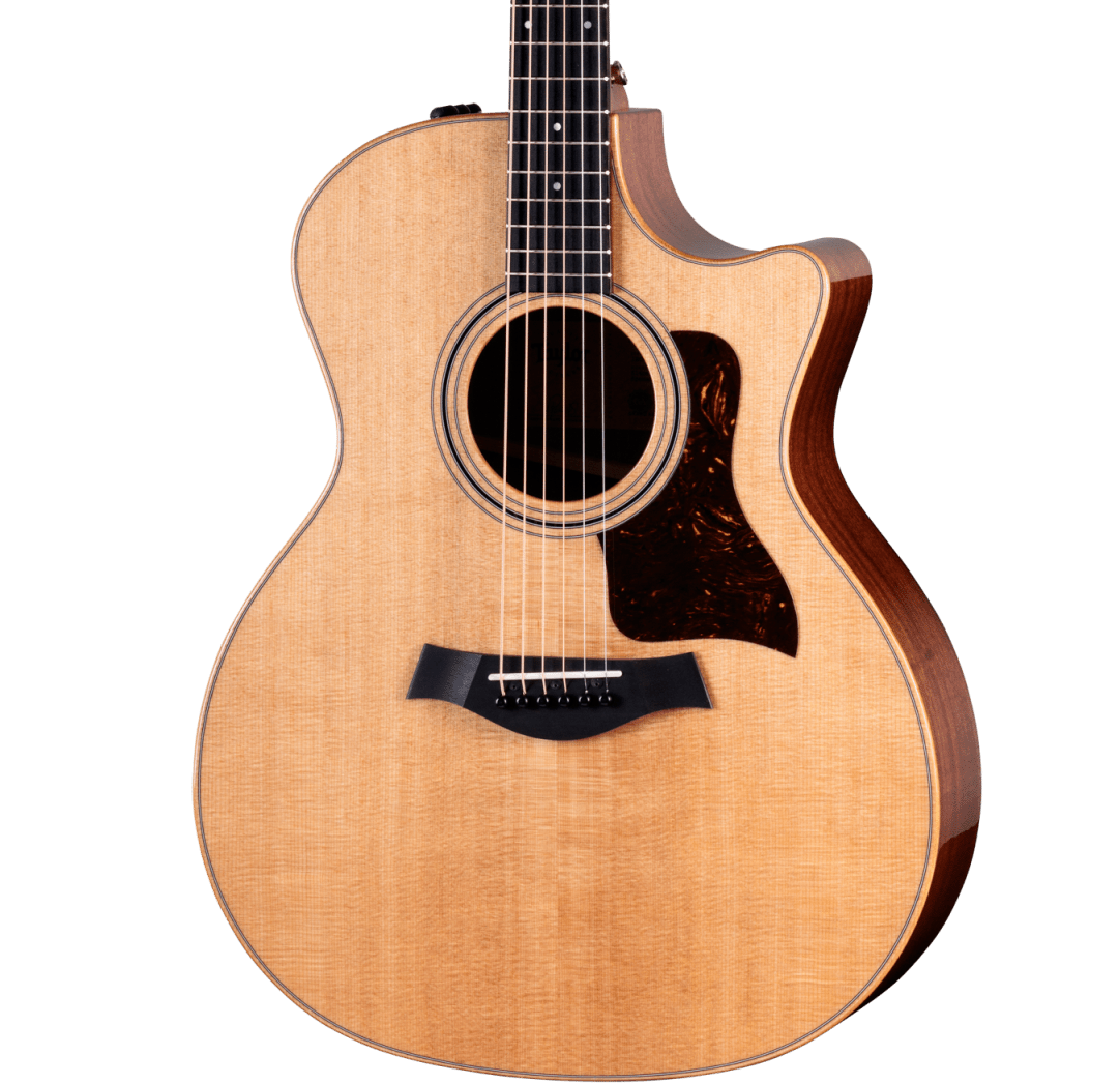 Taylor 314ce Studio Special Edition