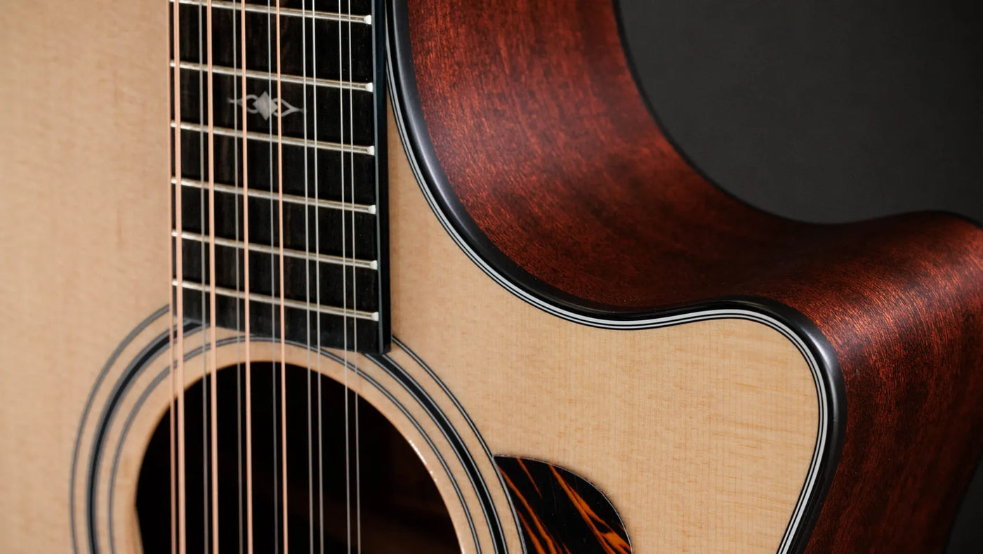 Taylor 354ce - 12 String