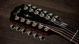 Taylor 354ce - 12 String