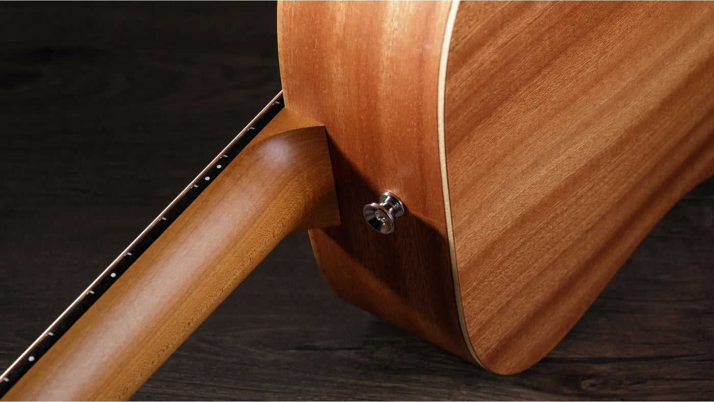 Taylor BT2 Baby Mahogany