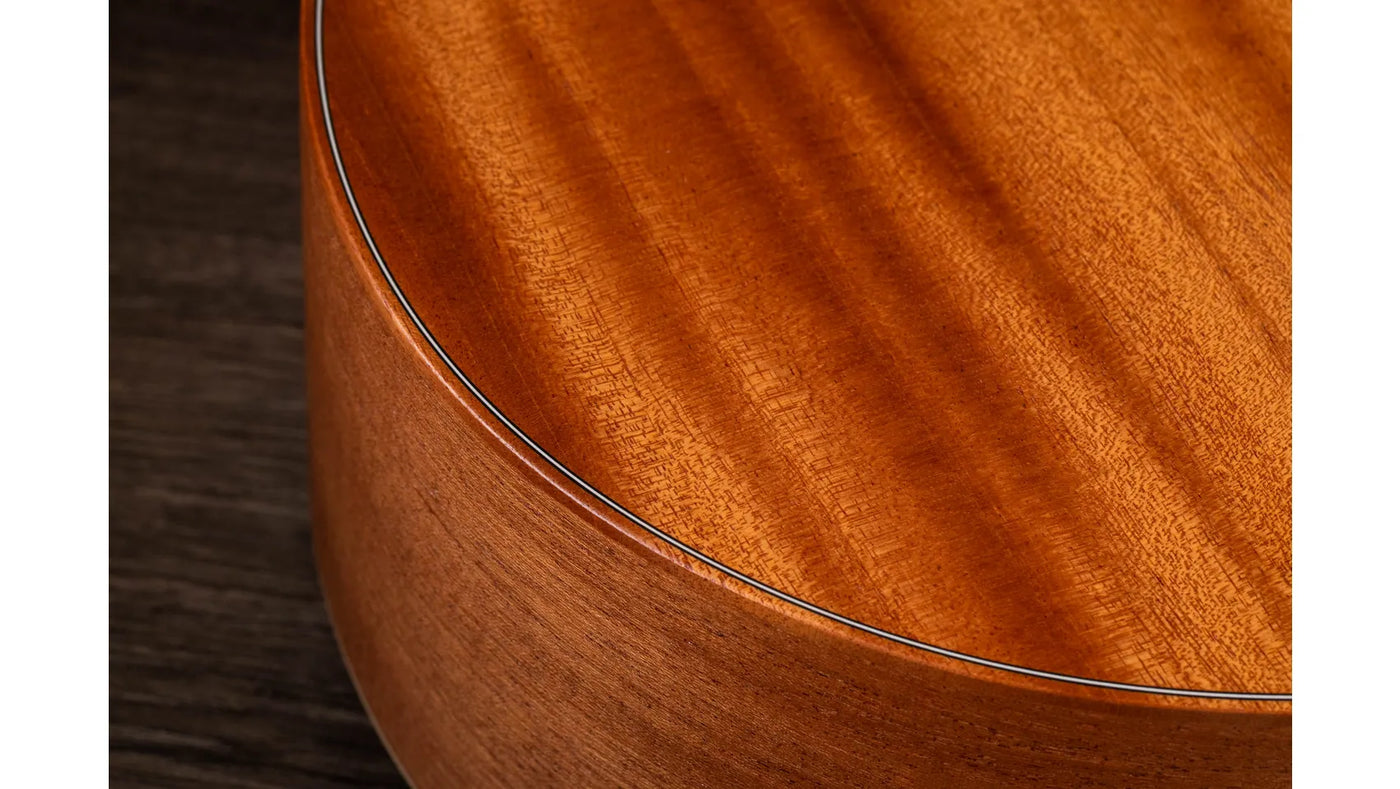 Taylor GS Mini Mahogany Top
