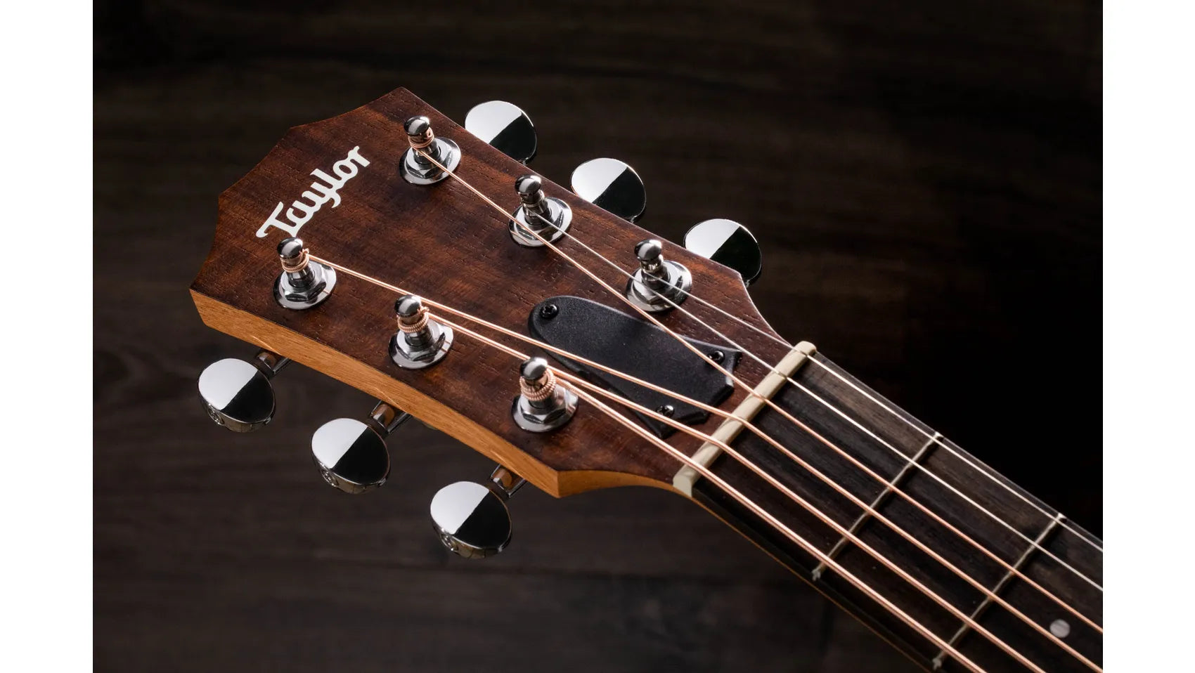 Taylor GS Mini Mahogany Top