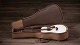 Taylor GS Mini-e Special Edition, Trans White