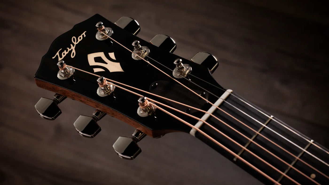 Taylor Gold Label 517e