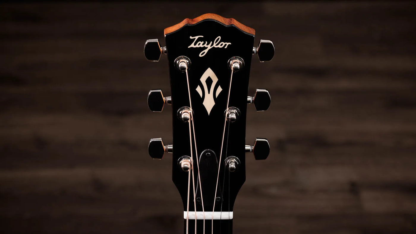 Taylor Gold Label 517e