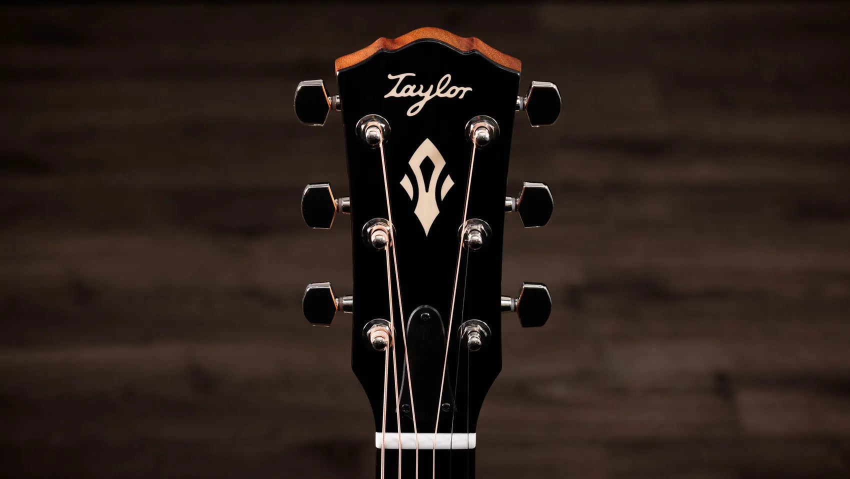 Taylor Gold Label 517e