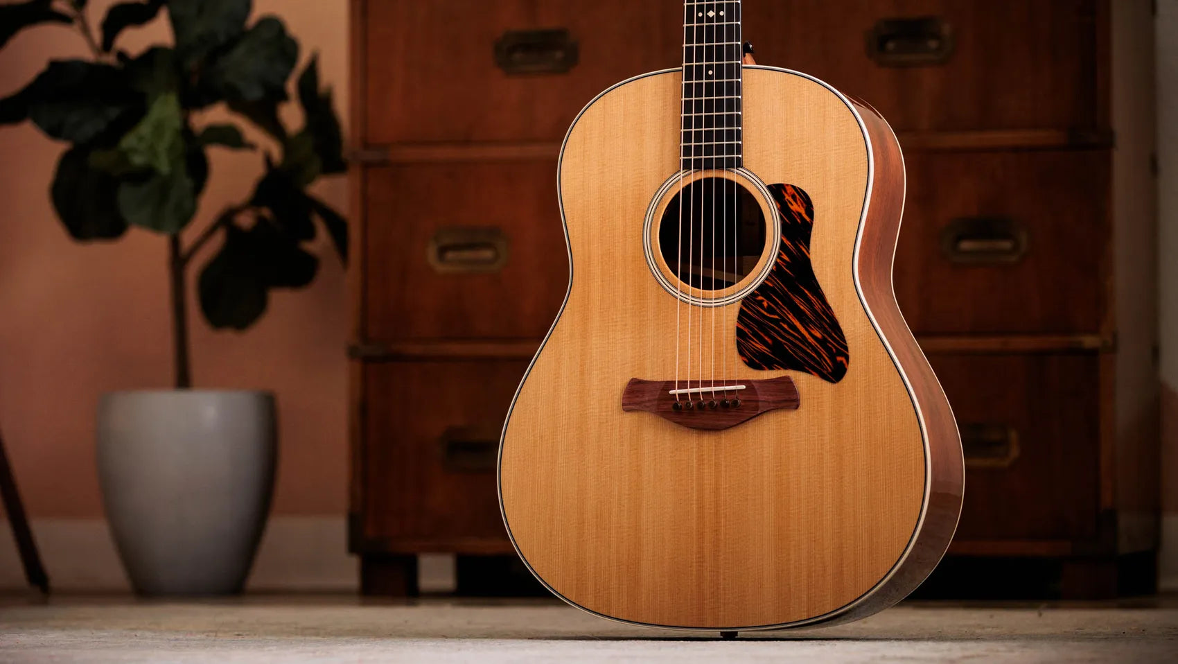 Taylor Gold Label 517e