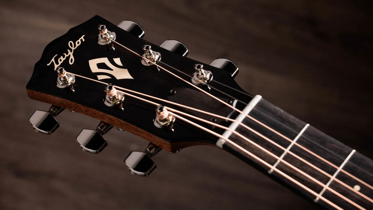 Taylor Gold Label 717e Black Top