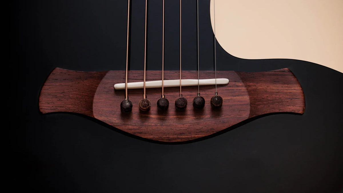 Taylor Gold Label 717e Black Top