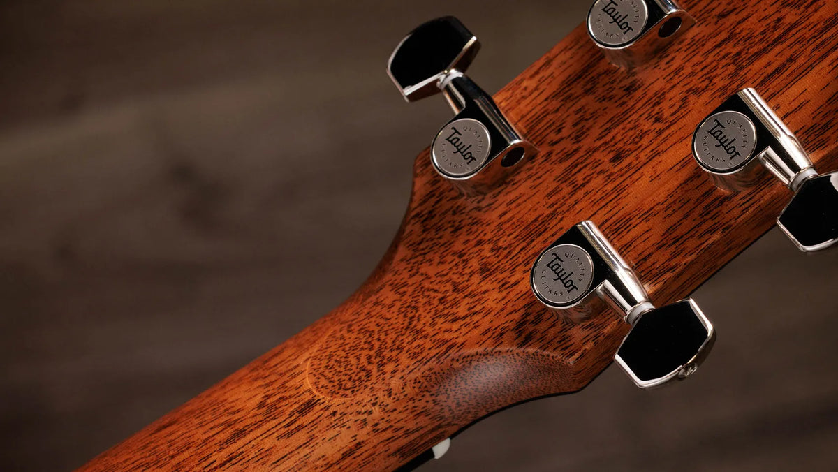 Taylor Gold Label 717e Black Top