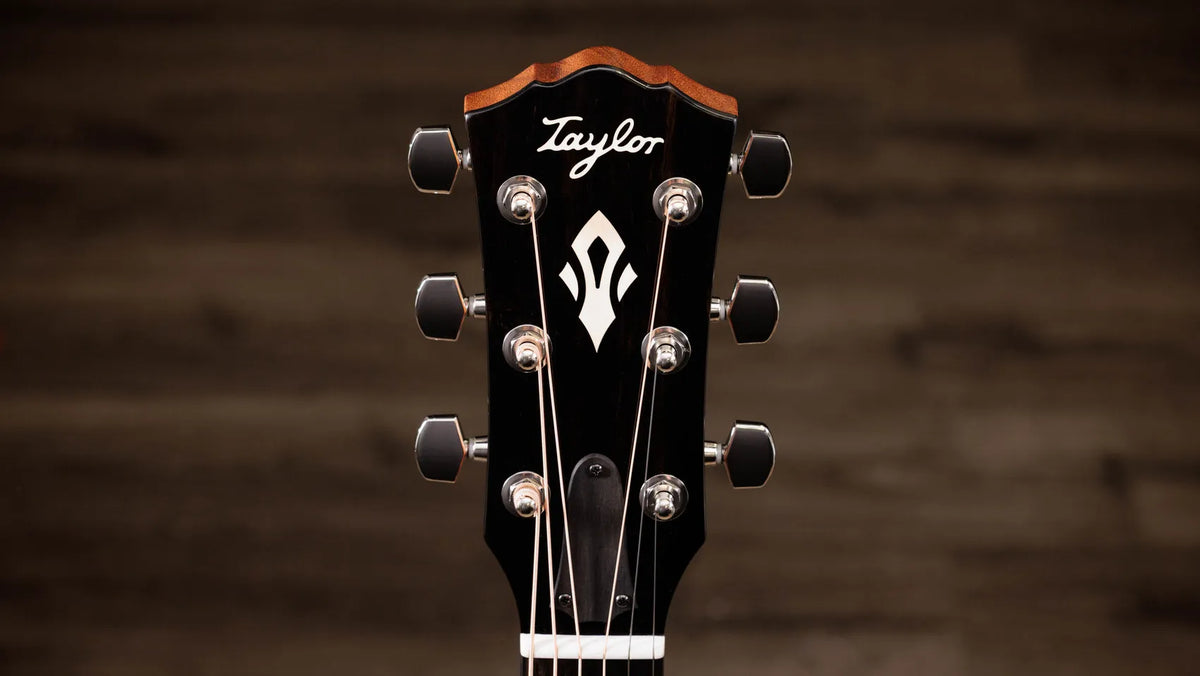 Taylor Gold Label 717e Black Top