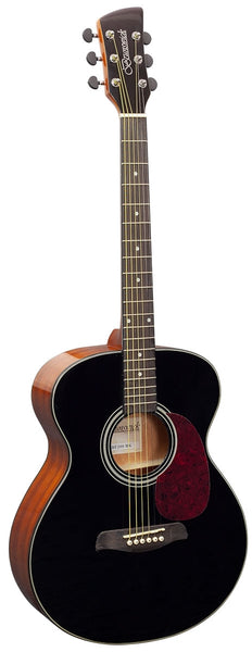 Brunswick BF200 Folk Black Top