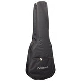 Brunswick Super Mini Electro Acoustic