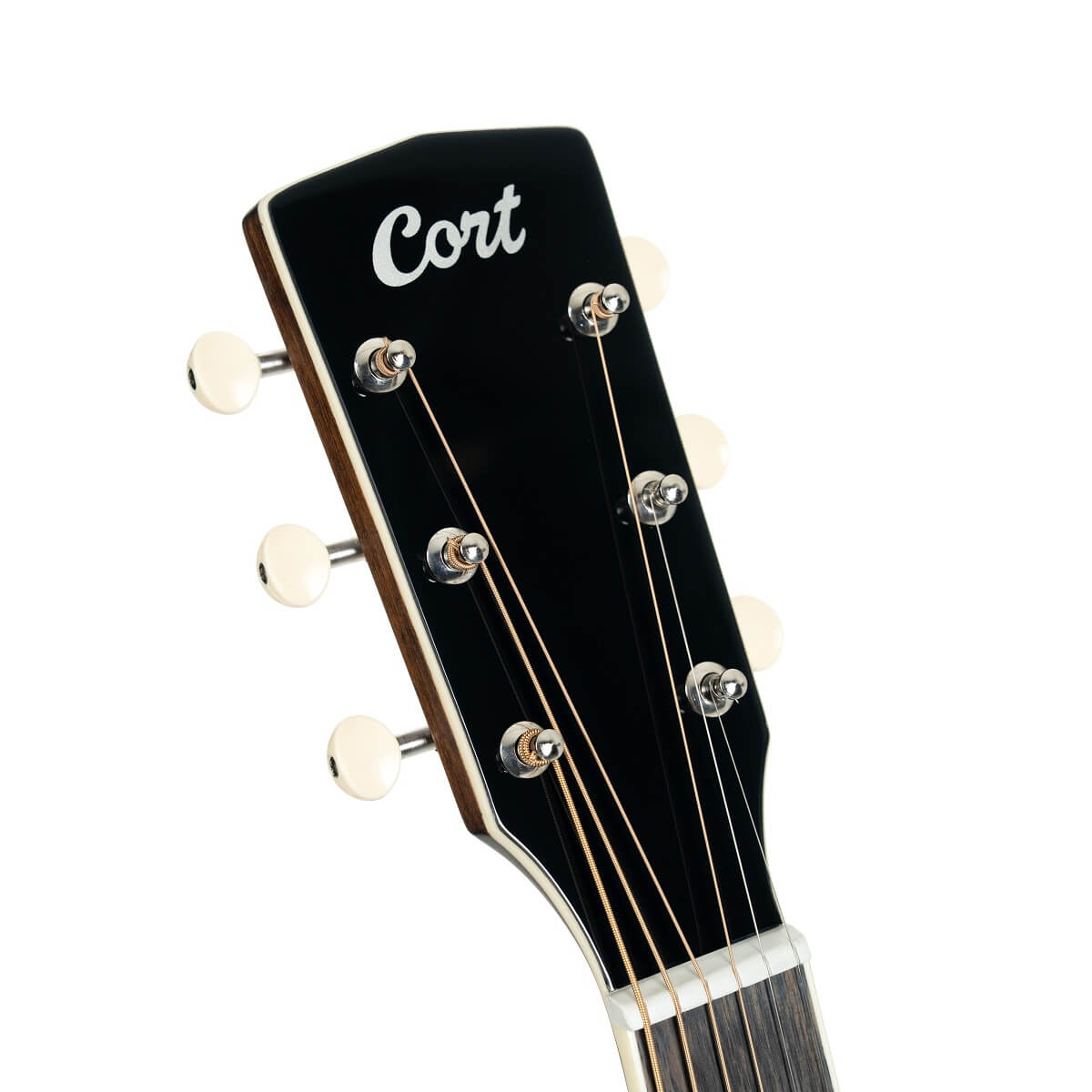 Cort Exotic-SFX Ash, Black