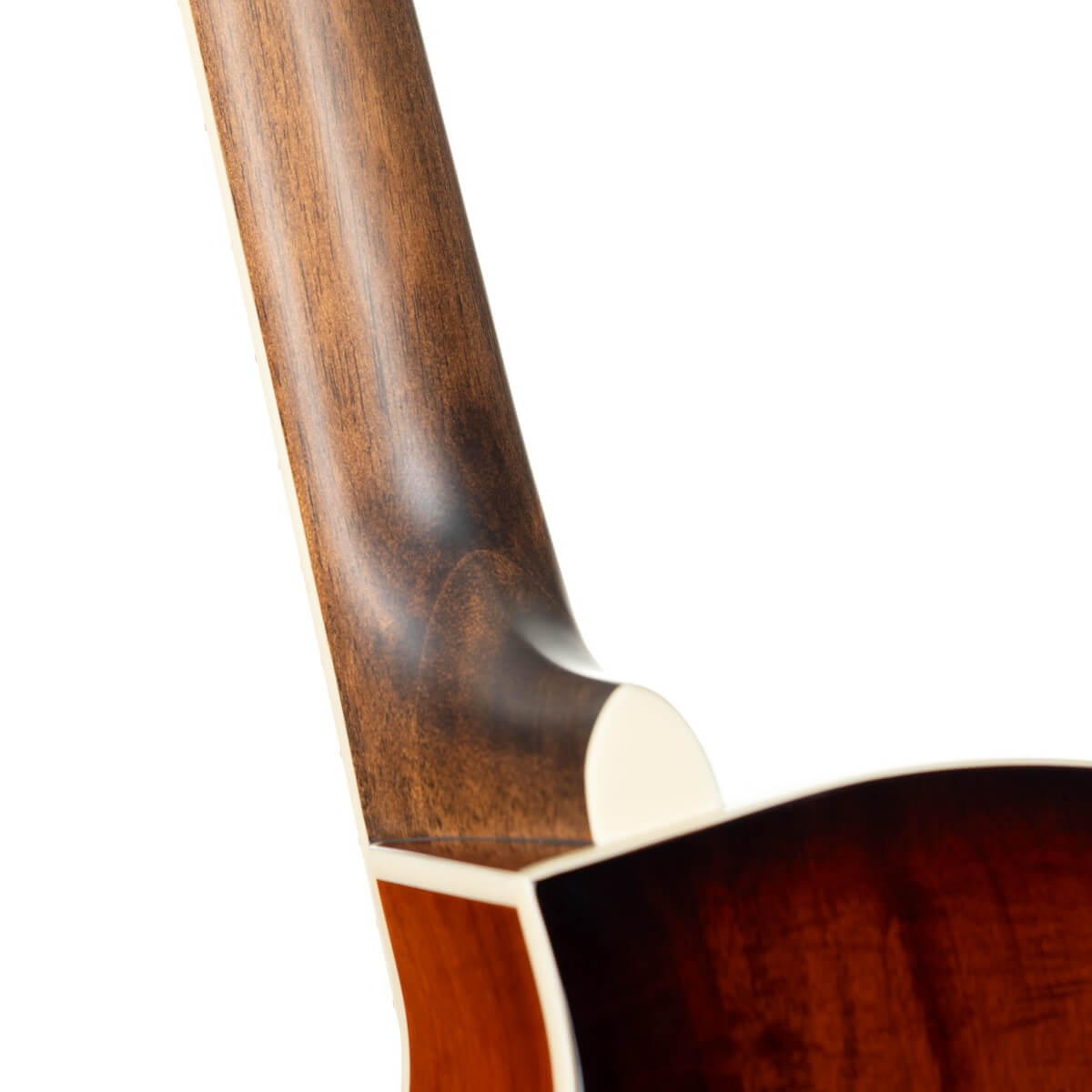 Cort Exotic-SFX Myrtle, Sunburst