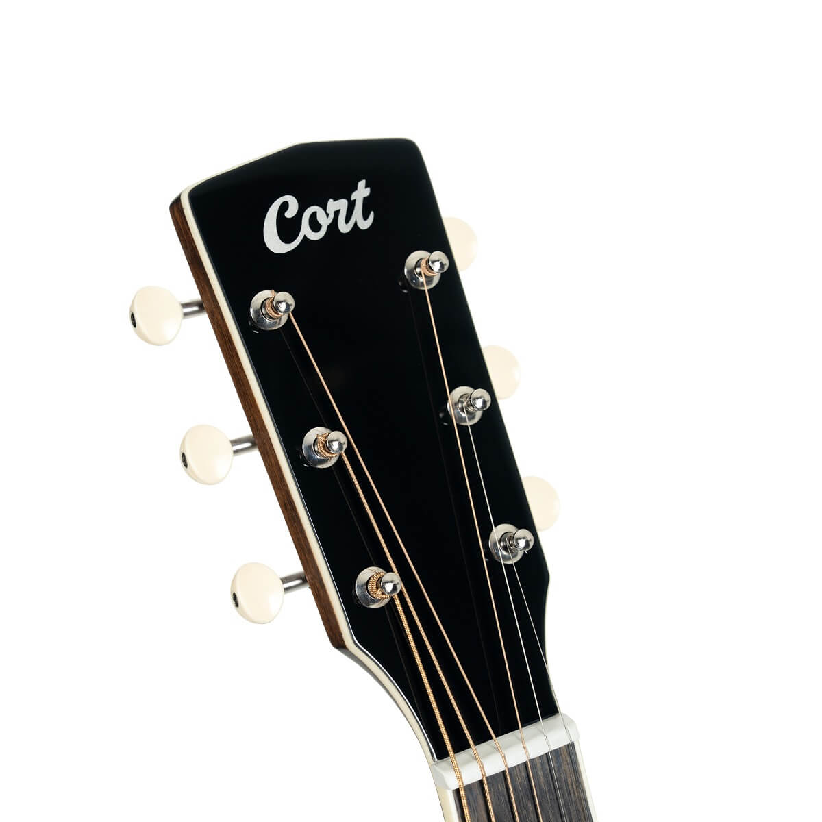 Cort Exotic-SFX Myrtle, Sunburst