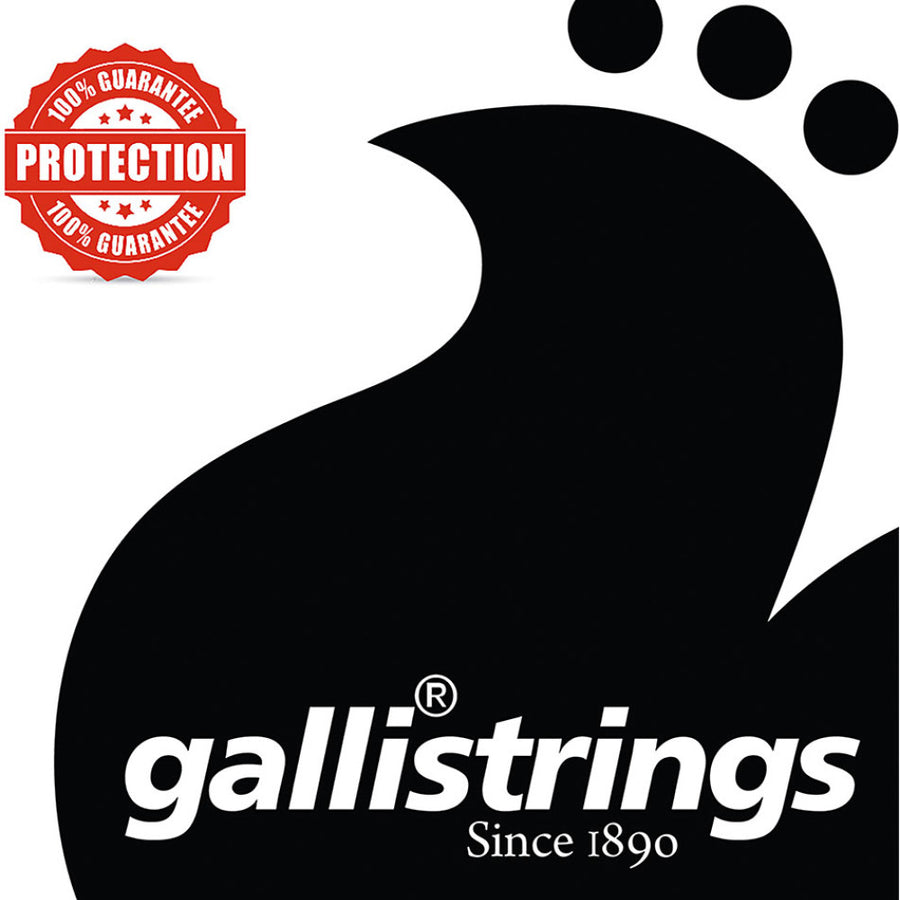 Galli G1240 P Irish Tenor Banjo