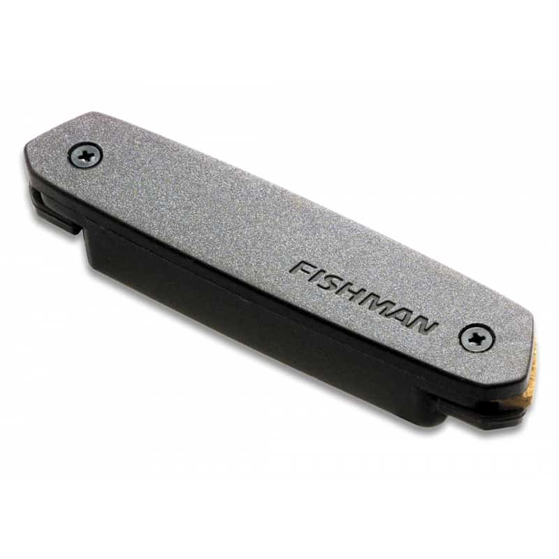 Fishman Neo-D (Humbucking)