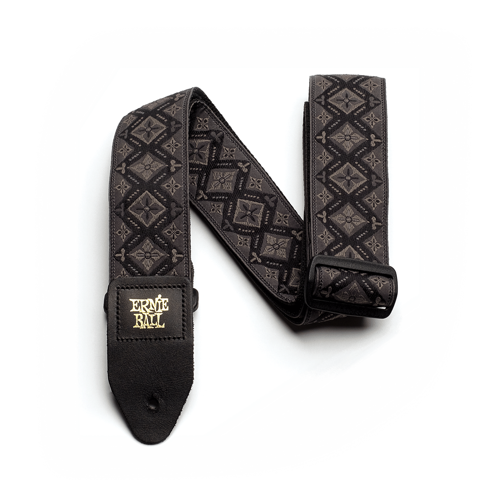 Ernie Ball  P04093 Regal Black