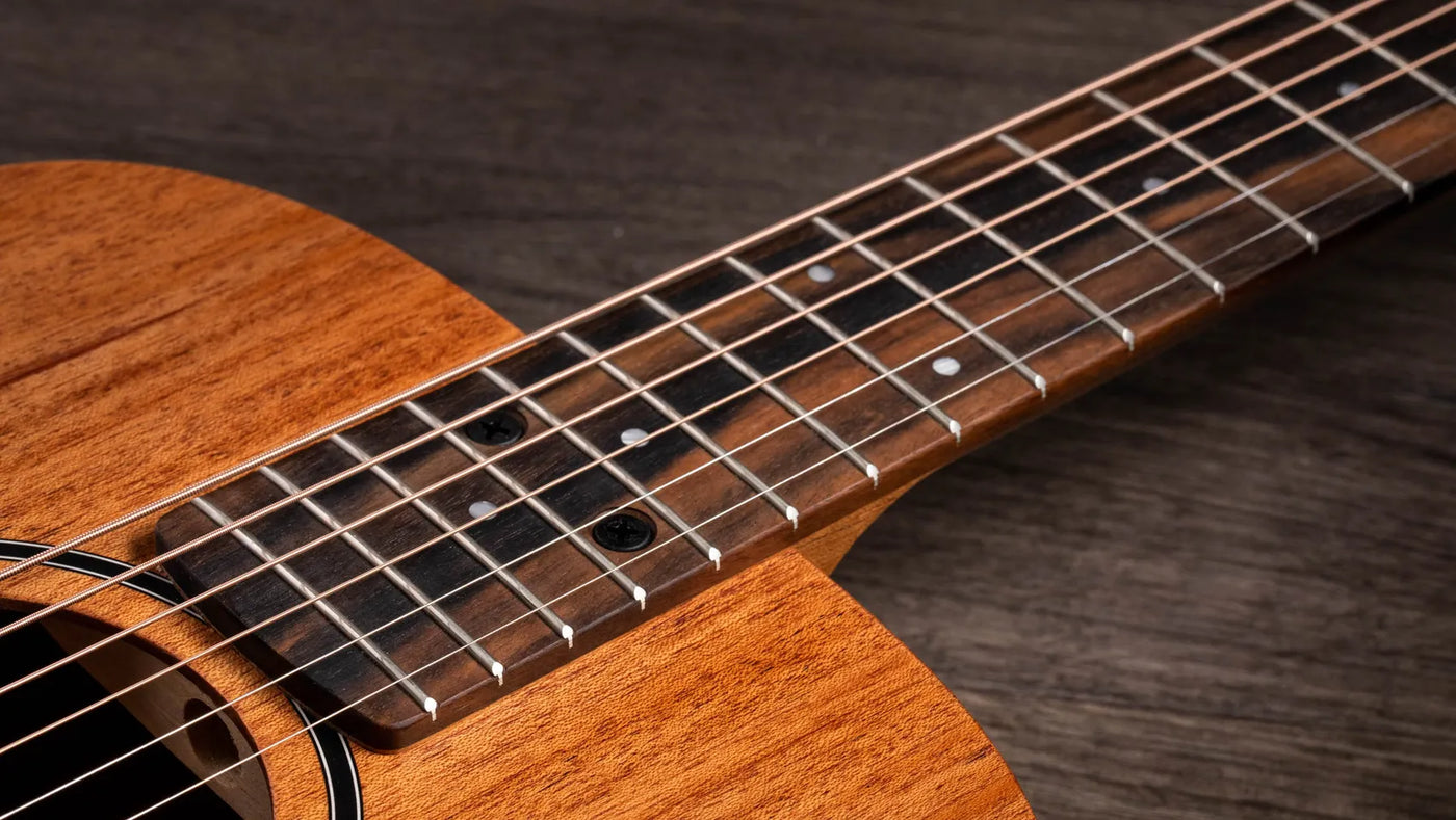 Taylor BT2 Baby Mahogany