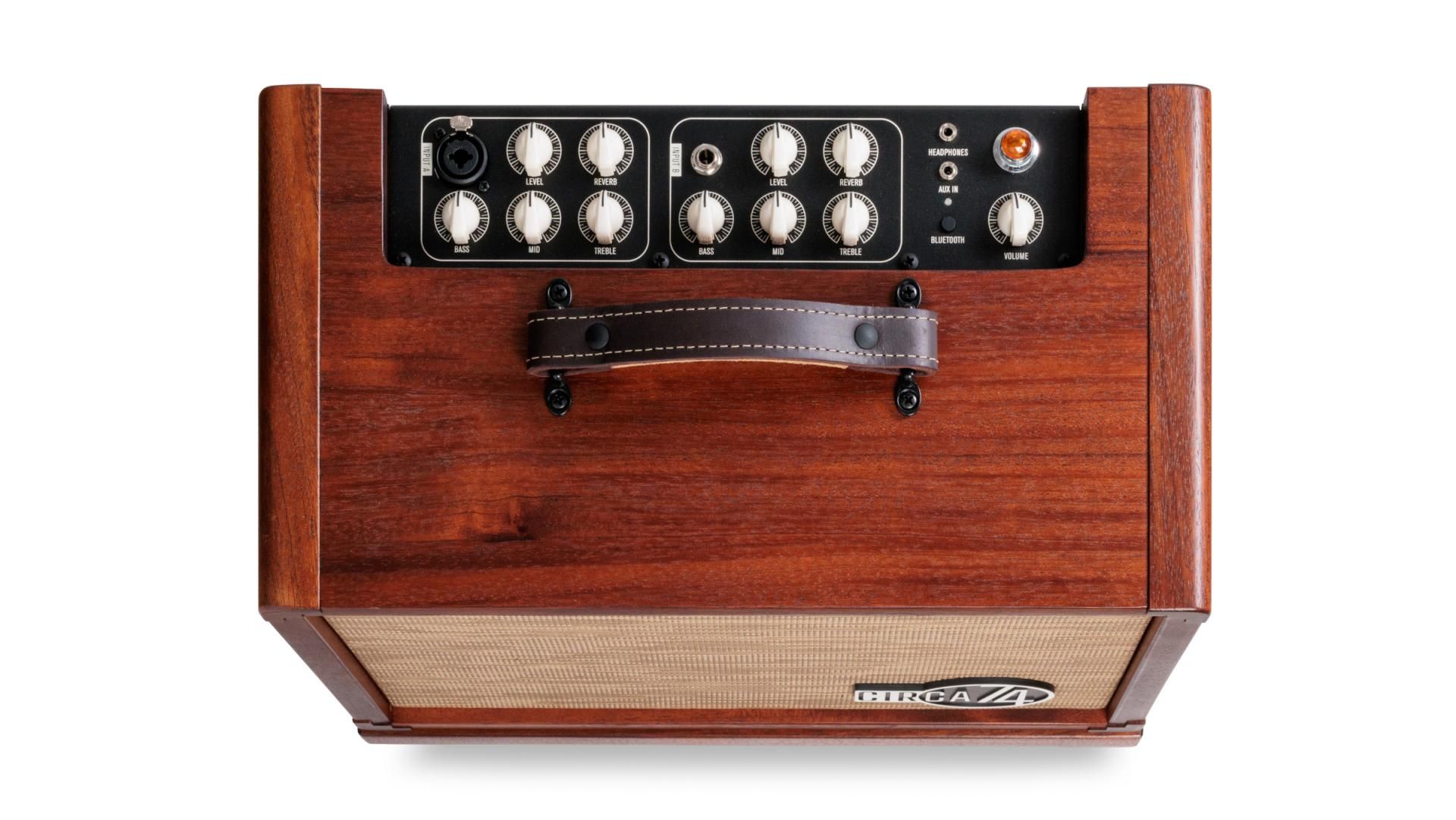 Taylor Circa 74 Acoustic Amp