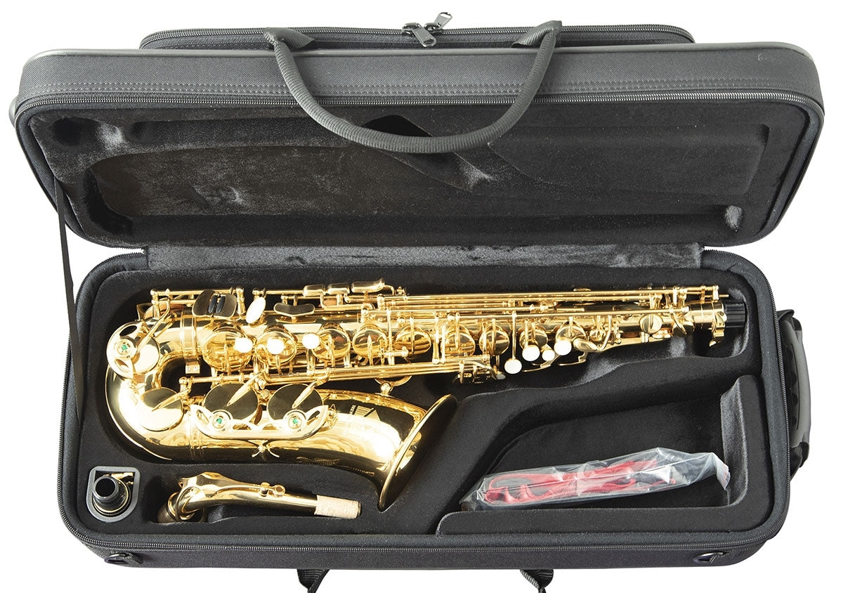 Trevor James ‘The Horn’ Alto Saxophone outfit